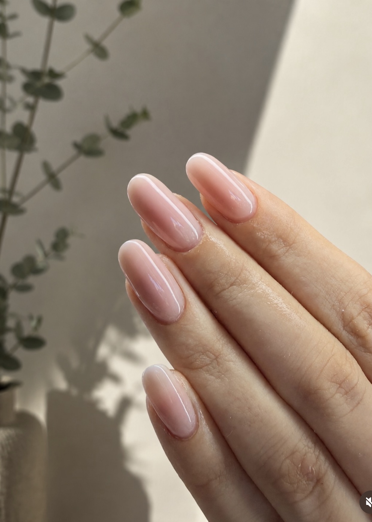 Ricostruzione Gel