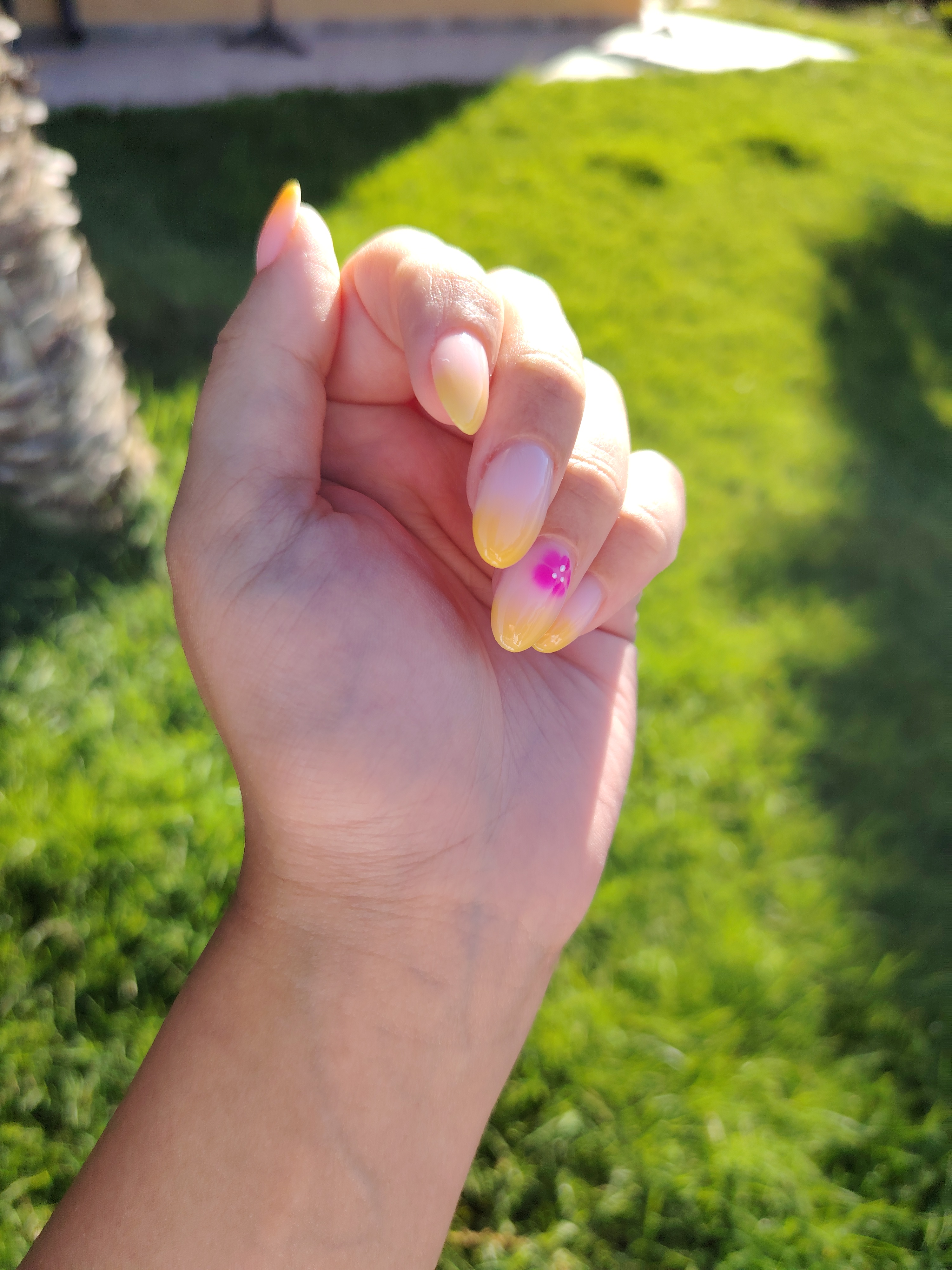 Tropicale